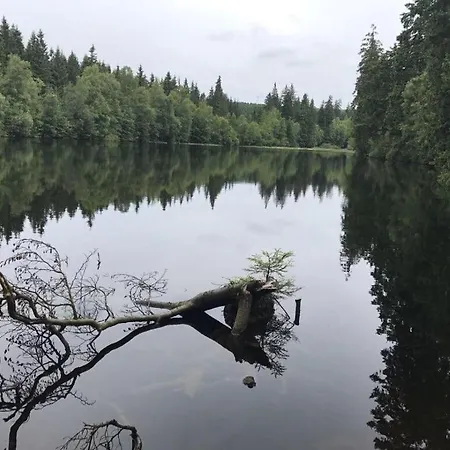 Summit Nest Apartment