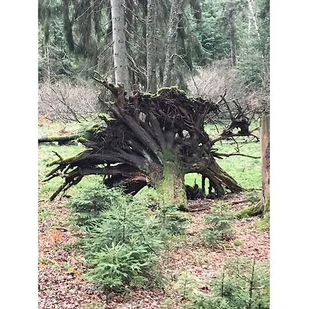 Summit Nest Braunlage