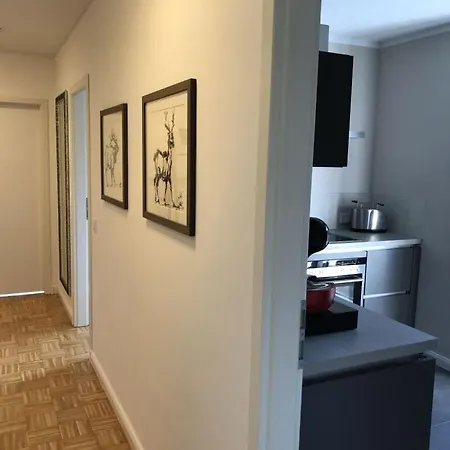 Apartment Summit Nest