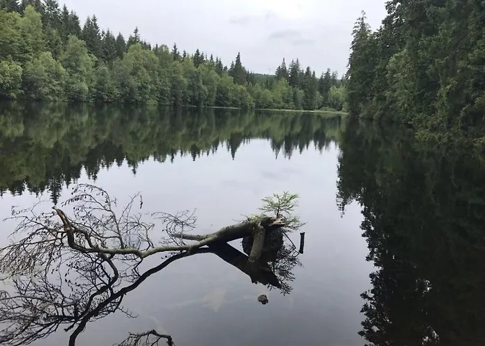 Summit Nest Апартаменты